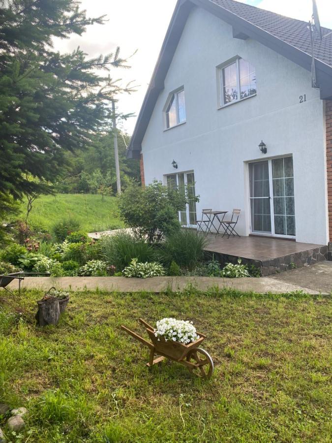 Novoselitsa  Holiday Home Usadba Novoselitsa מראה חיצוני תמונה