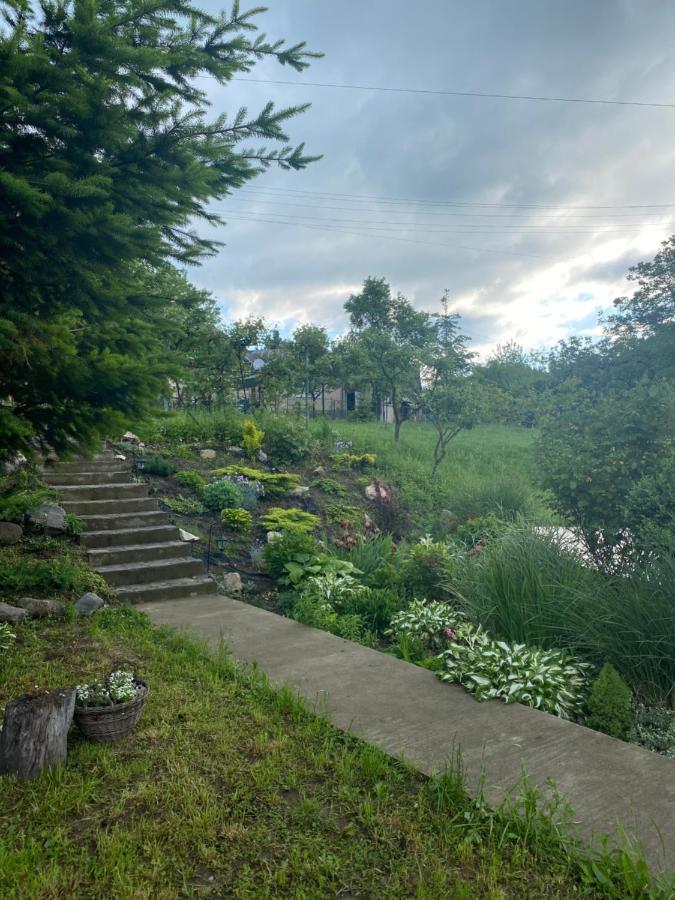 Novoselitsa  Holiday Home Usadba Novoselitsa מראה חיצוני תמונה