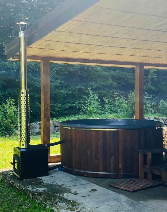 Novoselitsa  Holiday Home Usadba Novoselitsa מראה חיצוני תמונה