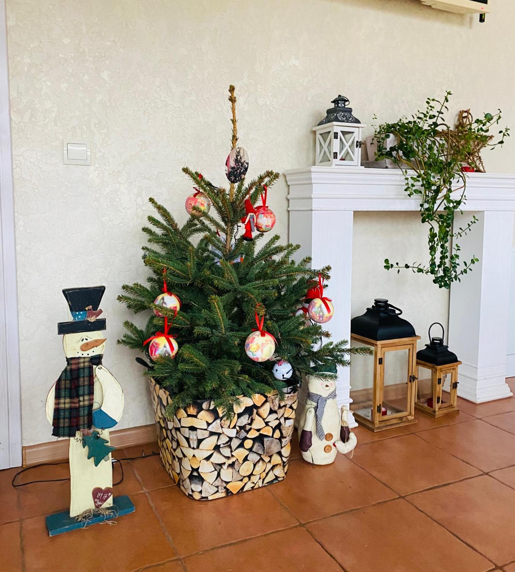 Novoselitsa  Holiday Home Usadba Novoselitsa מראה חיצוני תמונה